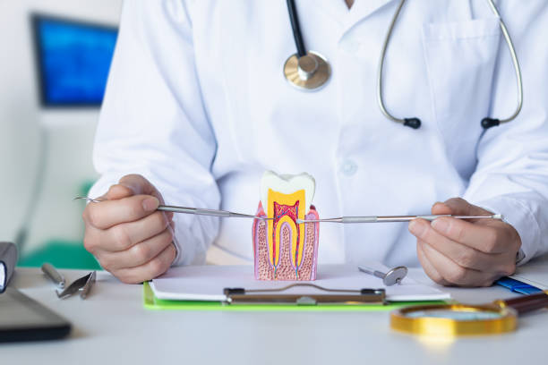 Best Urgent Dental Care for Toothache in Slippery Rock University, PA